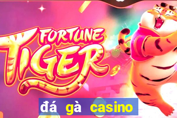 đá gà casino trực tuyến