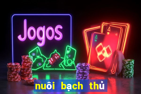 nuôi bạch thủ khung 3 ngày