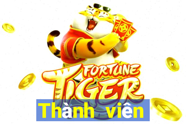 Thành viên Aishang Color