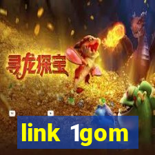 link 1gom