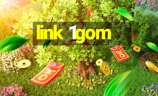 link 1gom