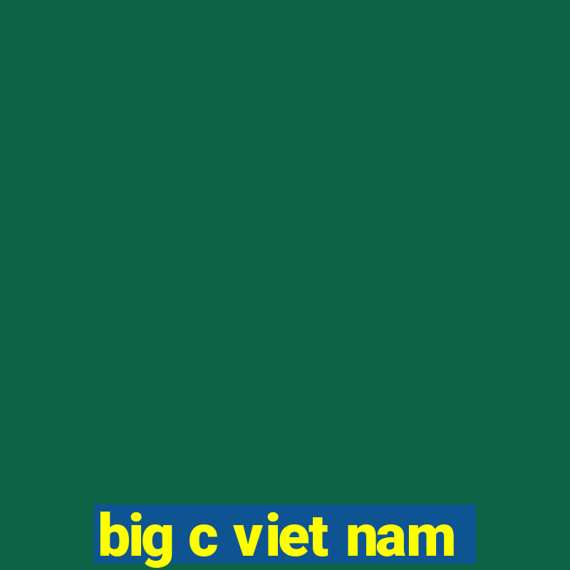 big c viet nam