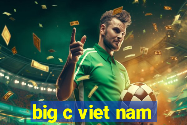 big c viet nam