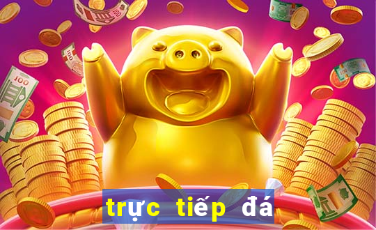 trực tiếp đá gà hôm nay bình luận