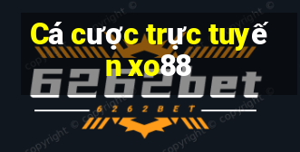 Cá cược trực tuyến xo88