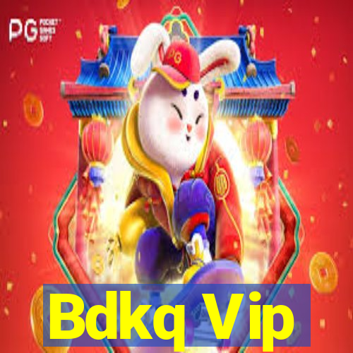 Bdkq Vip