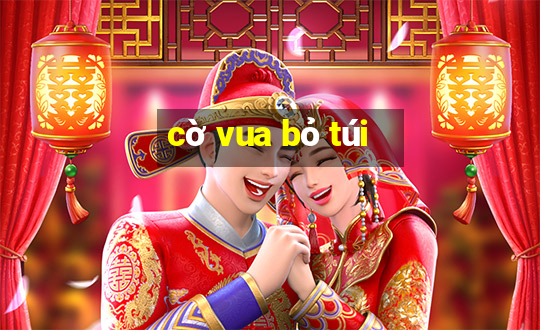 cờ vua bỏ túi