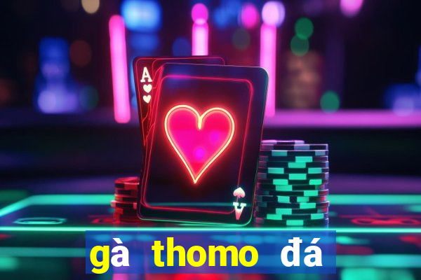 gà thomo đá trực tiếp