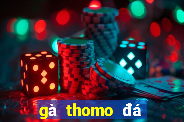 gà thomo đá trực tiếp