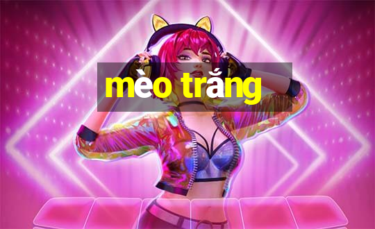 mèo trắng