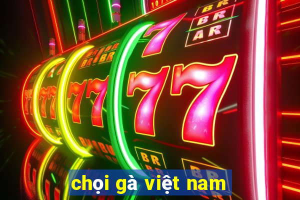 chọi gà việt nam