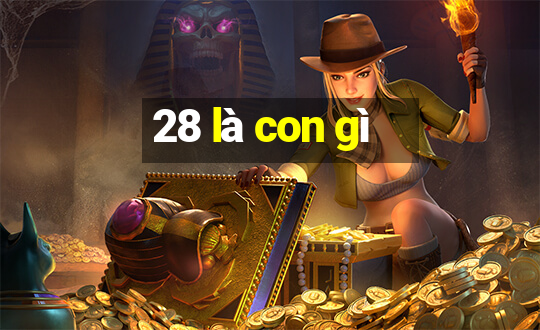 28 là con gì