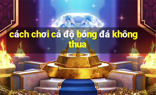 cách chơi cá độ bóng đá không thua