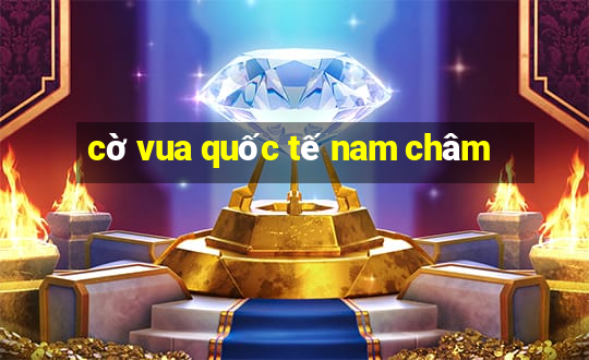 cờ vua quốc tế nam châm