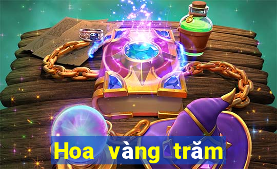 Hoa vàng trăm người ở Việt nam