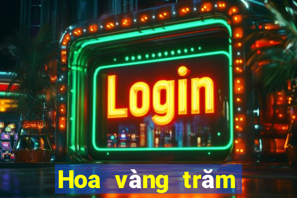 Hoa vàng trăm người ở Việt nam