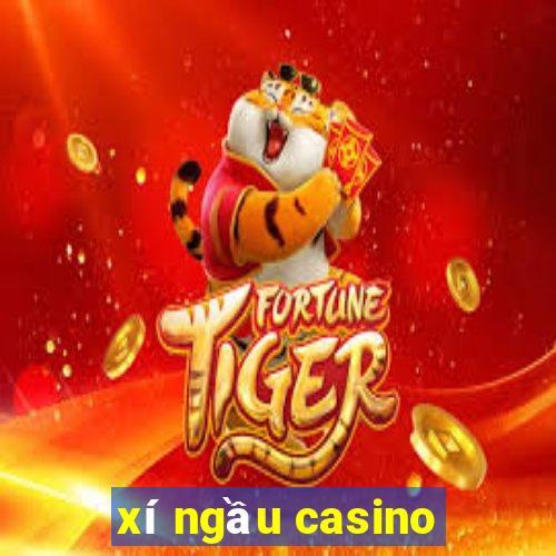 xí ngầu casino