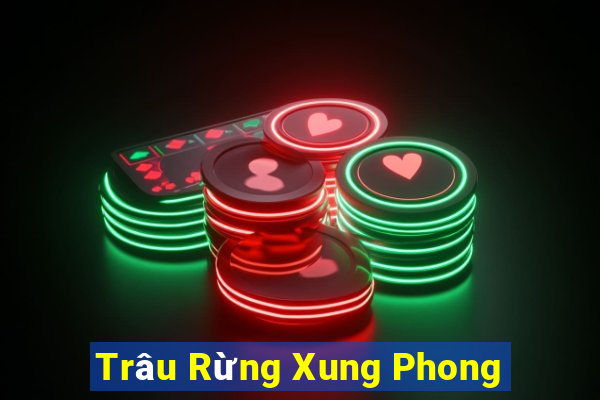 Trâu Rừng Xung Phong