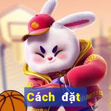 Cách đặt cược XSCM ngày 12