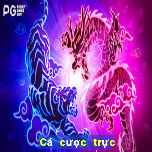 Cá cược trực tuyến bigbet88