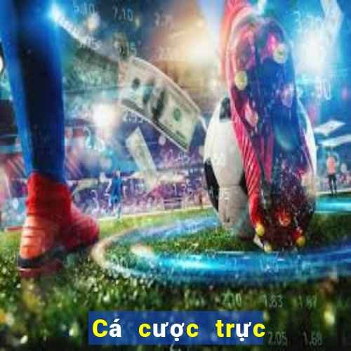 Cá cược trực tuyến 789bet