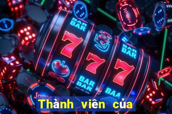 Thành viên của Yi Color