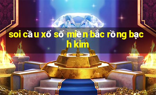 soi cầu xổ số miền bắc rồng bạch kim