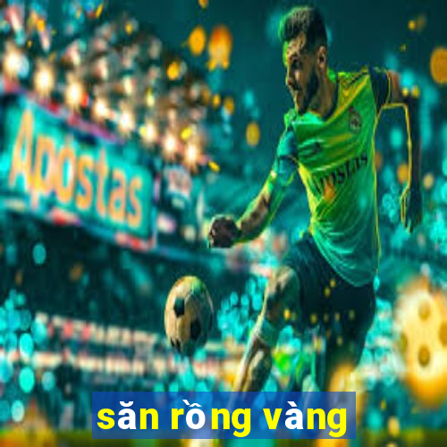 săn rồng vàng