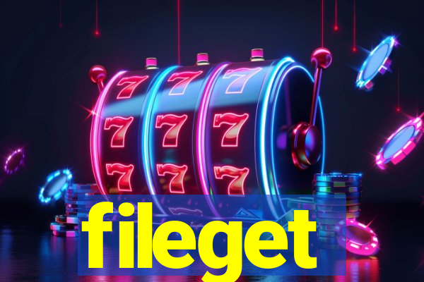 fileget