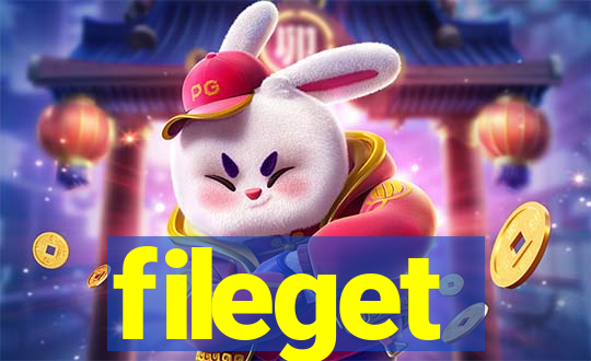 fileget