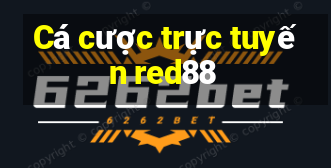 Cá cược trực tuyến red88