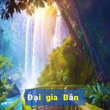 Đại gia Bắn Cá vàng