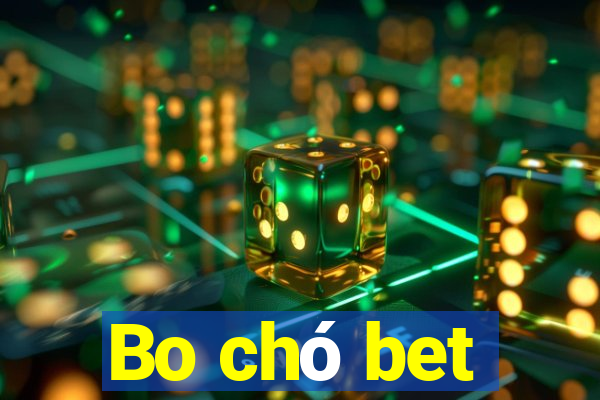 Bo chó bet