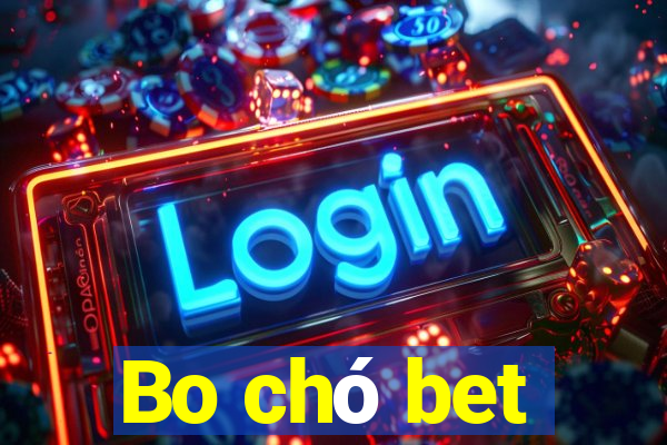 Bo chó bet