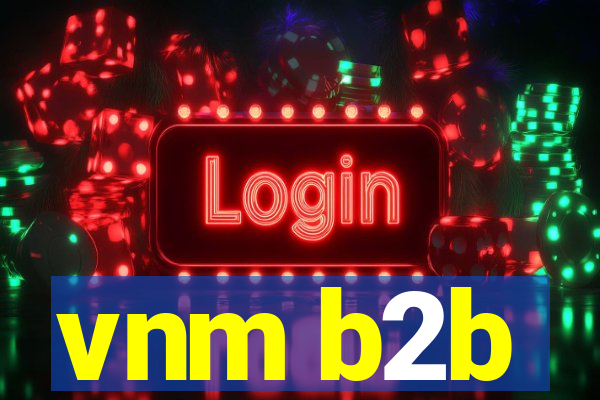 vnm b2b