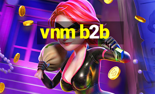 vnm b2b