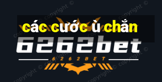 các cước ù chắn