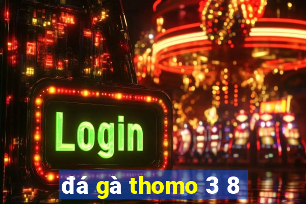 đá gà thomo 3 8