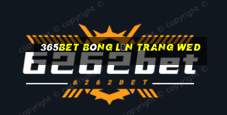 365bet bóng lăn trang wed