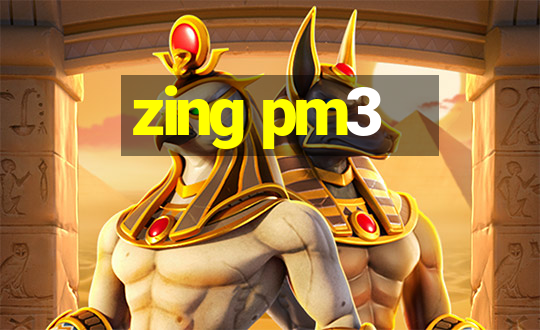 zing pm3