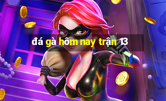 đá gà hôm nay trận 13