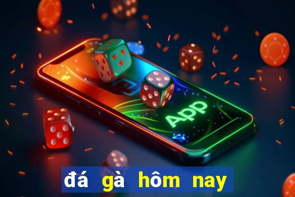 đá gà hôm nay trận 13