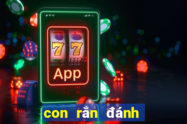 con rắn đánh số mấy