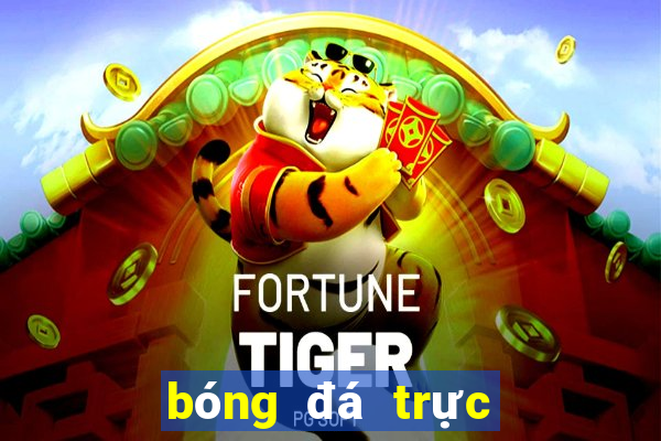 bóng đá trực tiếp kênh vtv6