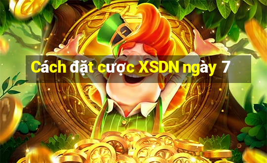 Cách đặt cược XSDN ngày 7