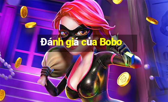 Đánh giá của Bobo