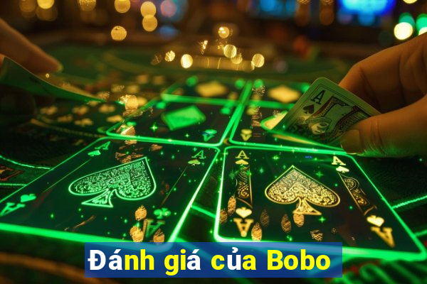 Đánh giá của Bobo