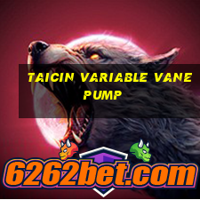 taicin variable vane pump