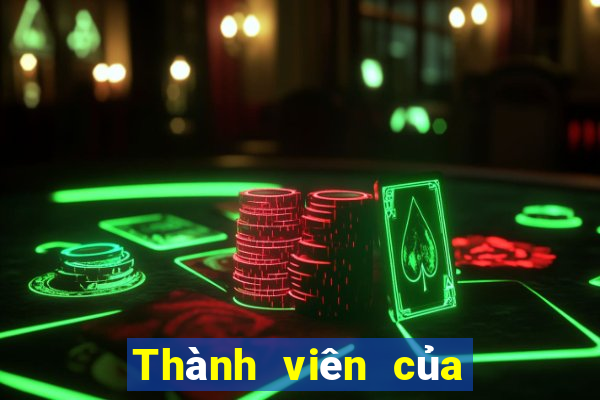 Thành viên của Bo 500