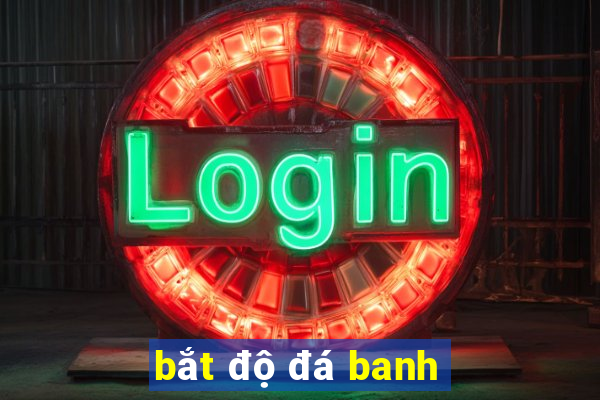 bắt độ đá banh